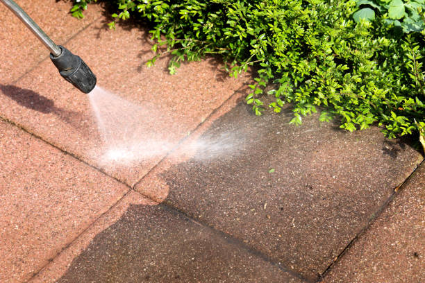 Best House Pressure Washing  in Salmon Brook, CT